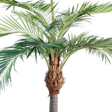 PALMIER  artificiel géant phoenix  400 et 480 cm - tête