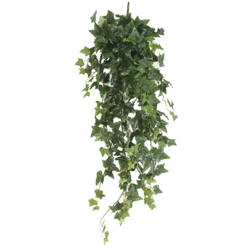 LIERRE Anglais artificiel 110 cm