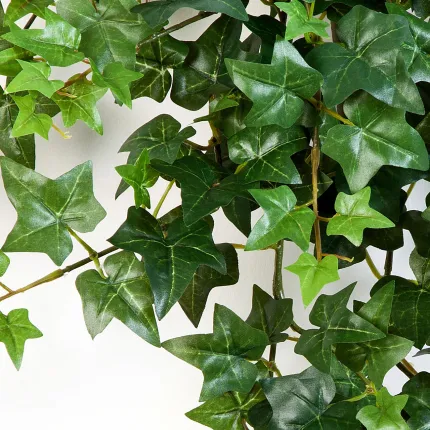 LIERRE Anglais artificiel   vert - feuille