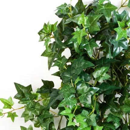 LIERRE Anglais artificiel   vert - feuillage