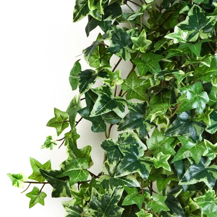 LIERRE Anglais panaché artificiel  - feuillage
