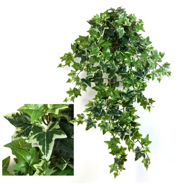 LIERRE Anglais panaché artificiel 70 à 110 cm