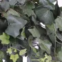 Guirlande de lierre 200 cm vert ANTI FEU  - feuilles