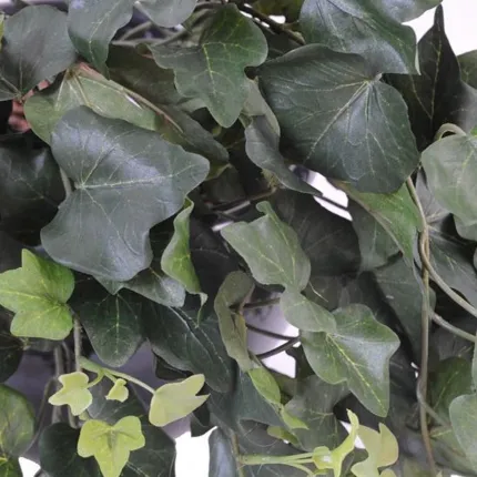 Guirlande de lierre 200 cm vert ANTI FEU  - feuilles
