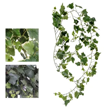 Feuillage liane de lierre artificiel ignifugé