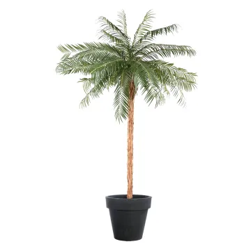PHOENIX  artificiel 340  cm en pot