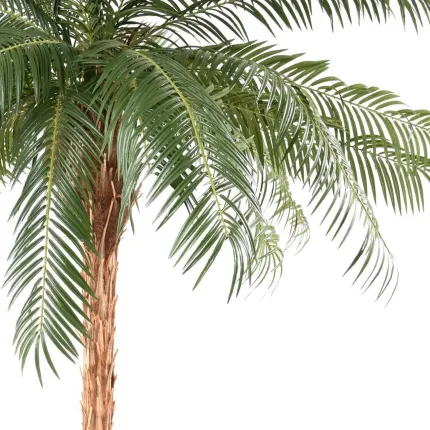 PHOENIX  artificiel 340 et 450 cm palmes et tronc
