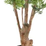 tronc de l'ARALIA artificiel MING NITIDA tronc noueux 165 cm