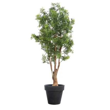 ARALIA artificiel MING NITIDA tronc noueux 165 cm en pot