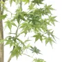 ARALIA artificiel (Erable) vert 150 et 170 cm - feuilles