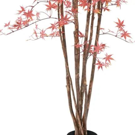 ERABLE artificiel plast (Aralia)  150 à 210 cm vert rouge - tronc
