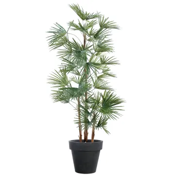 LIVISTONIA artificiel  ou palmier éventail 140 cm