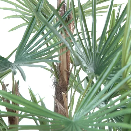 tronc et feuilles LIVISTONIA artificiel  110 cm