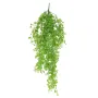 DICHONDRA PLAST 80 cm avec son pic