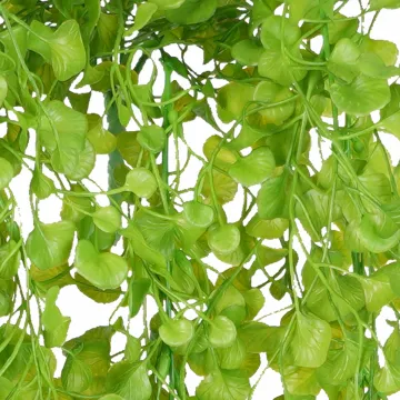 DICHONDRA PLAST 80 cm - feuille