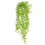 DICHONDRA PLAST 80 cm -