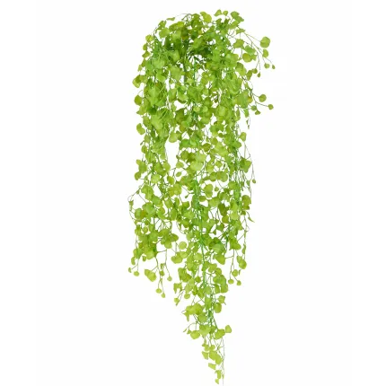 DICHONDRA PLAST 80 cm -