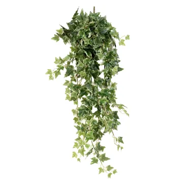 LIERRE Hollandais artificiel panaché 110 cm