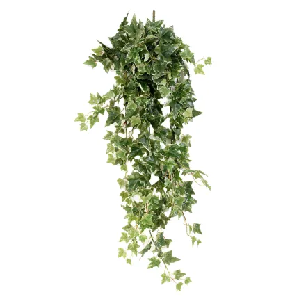 LIERRE Hollandais artificiel panaché 110 cm