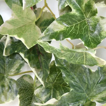 LIERRE Hollandais artificiel panaché 110 cm - feuille