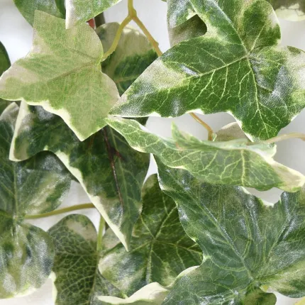 LIERRE Hollandais artificiel panaché 110 cm - feuille