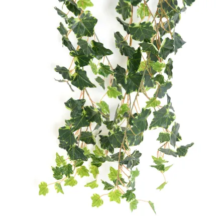 LIERRE vert crème artificiel 130 cm - pointe