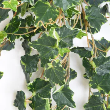 LIERRE vert crème artificiel 130 cm - feuilles