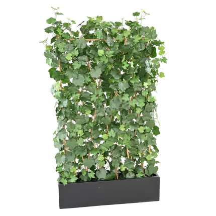 HAIE artificielle de VIGNE 170 cm dans une jardinière