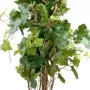 VIGNE arbustive artificiel 140 et 200 cm - tronc
