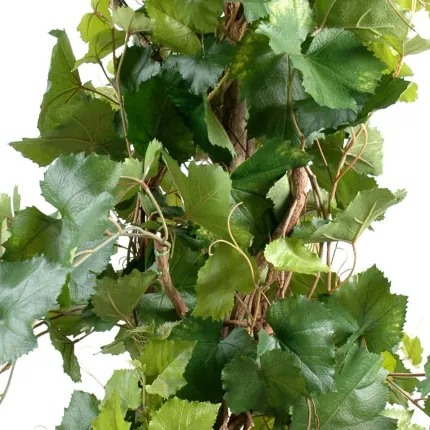VIGNE arbustive artificiel 140 et 200 cm - feuillage
