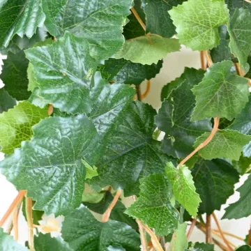 feuilles VIGNE artificielle 200 cm