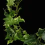 Guirlande LIERRE ANGLAIS artificiel panaché 180 cm - feuilles détails