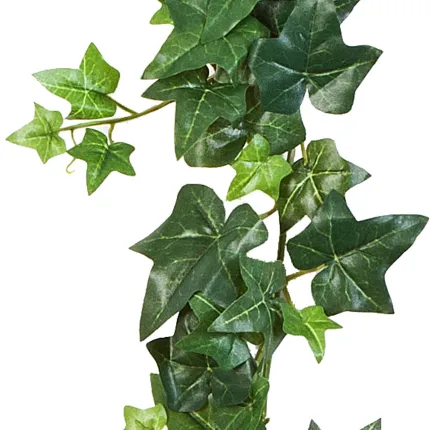 guirlande LIERRE ANGLAIS artificielle  180 cm - feuilles couleurs