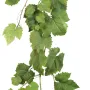 Guirlande FEUILLE DE VIGNE artificielle 180 cm - feuilles