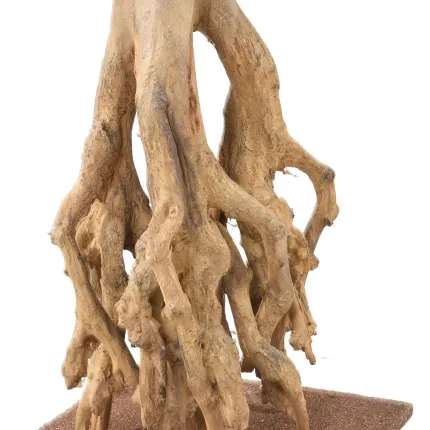 racines GINKGOBILOBA artificiel racine 180 cm