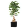 GINKGOBILOBA artificiel racine 180 cm dans un pot carré