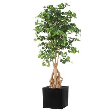 GINKGOBILOBA artificiel racine 180 cm dans un pot carré