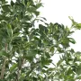 PITTOSPORUM artificiel arbre  260 cm - feuillage
