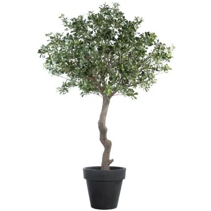PITTOSPORUM artificiel arbre  260 cm