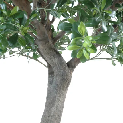 PITTOSPORUM artificiel arbre  260 cm - feuilles et tronc