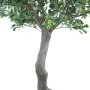 PITTOSPORUM artificiel arbre  260 cm - tronc