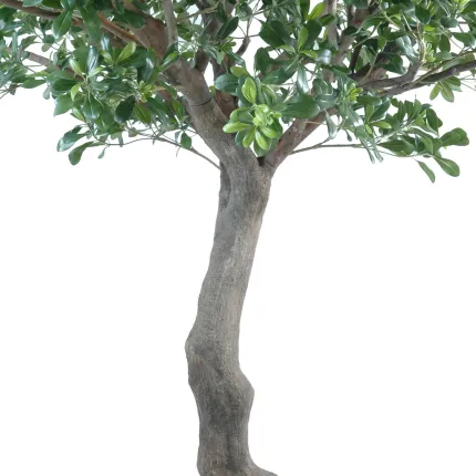 PITTOSPORUM artificiel arbre  260 cm - tronc