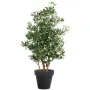 PITTOSPORUM artificiel 150 cm
