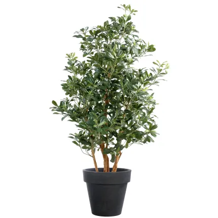 PITTOSPORUM artificiel 150 cm