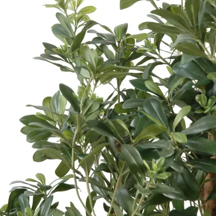 PITTOSPORUM artificiel 150 cm - feuillage
