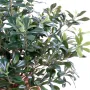 PITTOSPORUM artificiel buisson  80 cm