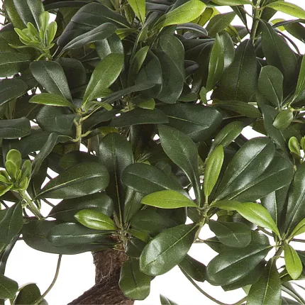 PITTOSPORUM artificiel MOUNTAIN tree ou Pittosporum  montagne 120 cm - feuilles