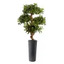 PITTOSPORUM artificiel MOUNTAIN tree ou Pittosporum  montagne 120 cm en pot
