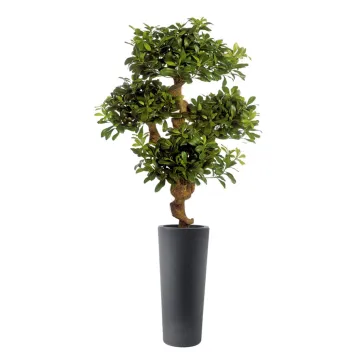 PITTOSPORUM artificiel MOUNTAIN tree ou Pittosporum  montagne 120 cm en pot