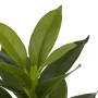 feuilles Mini plante artificielle 21 cm en pot ficus artificiel